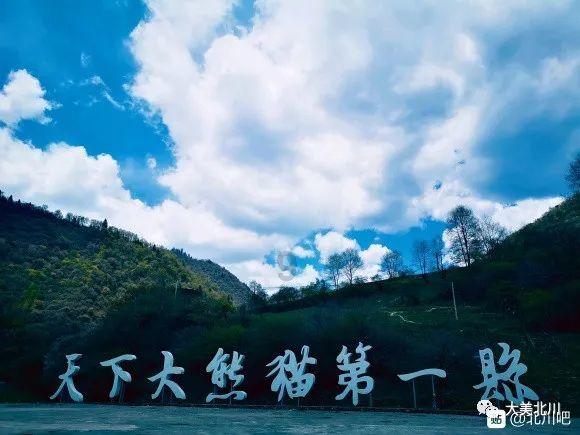 巧虎足球传送门