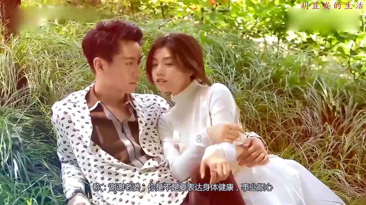 破碎的动物图形2