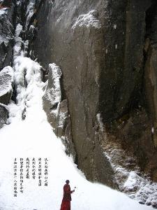 大鹰森林逃生