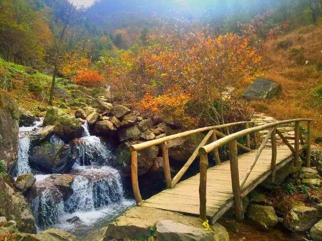 表情大乱斗